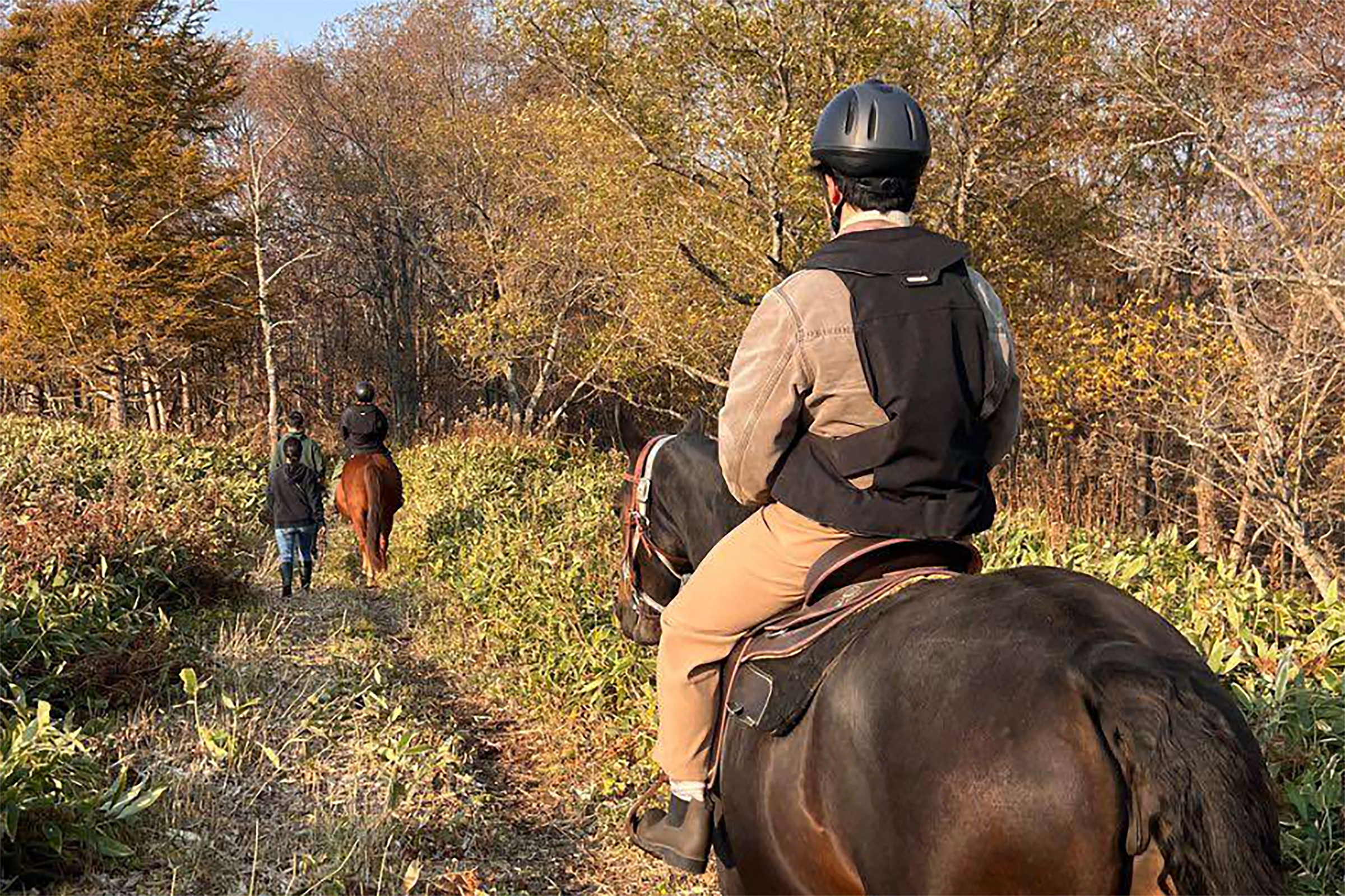 大自然の中で馬と一体となる感を体験360度の絶景パノラマビュー